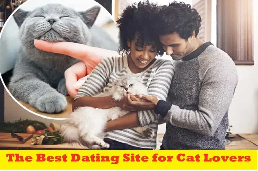 The Best Dating Site for Cat Lovers