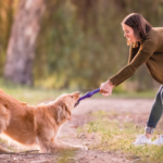 Dog pickup lines